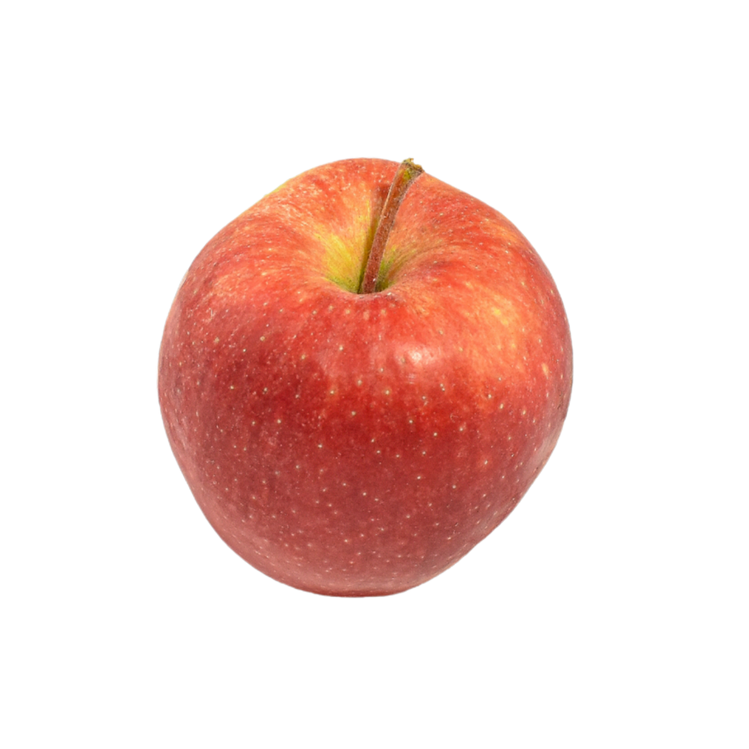 Red Prince | BelOrta
