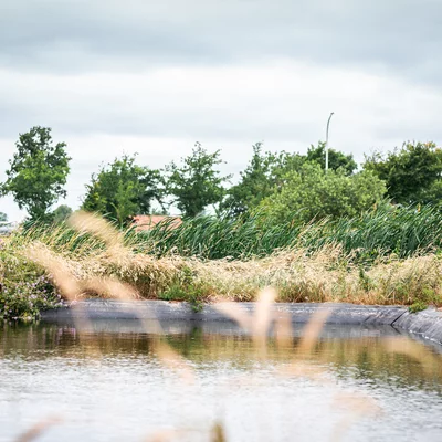 Waterbekken bij Kiem-X