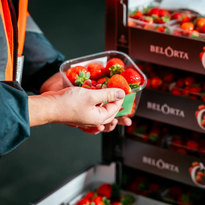 Kwaliteitscontrole aardbeien BelOrta