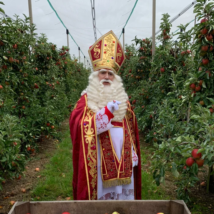 Sinterklaas in de boomgaarden